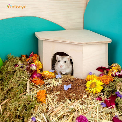 Niteangel Birkenkammer Hamsterversteck Holz Deko