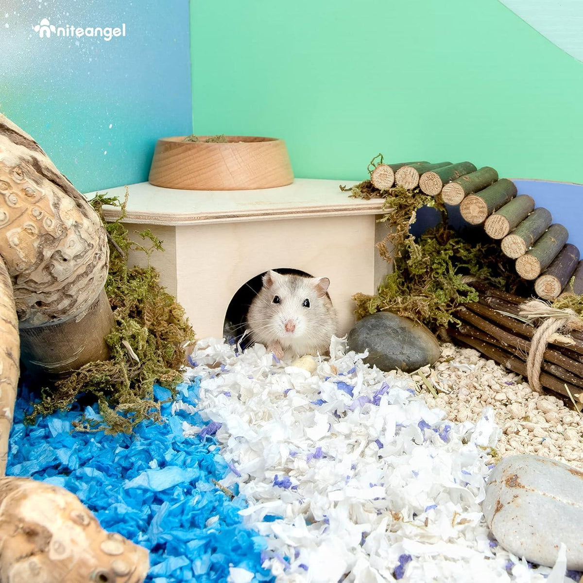 Niteangel Birkenkammer Hamsterversteck Holz Waldhaus sicherheit
