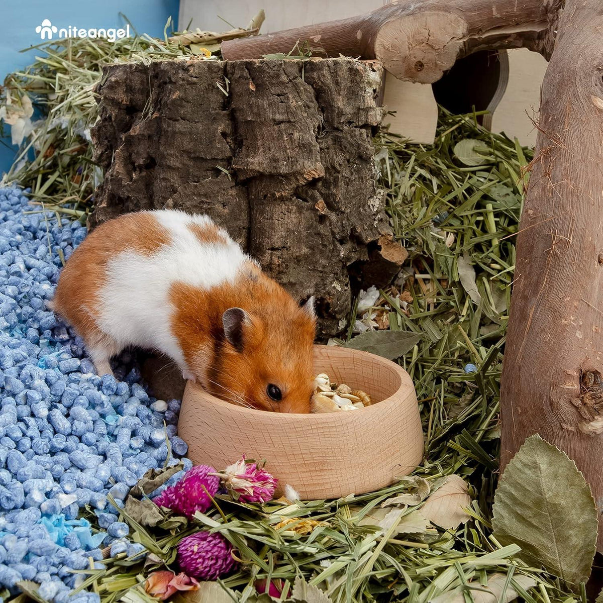 Holz Hamster-Futternapf, Kleintier-Futterschale für Zwerghamster