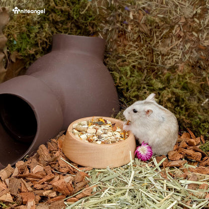 Holz Hamster Futternapf Kleintier Syrische Zwerghamster Rennmäuse Mäuse Degus