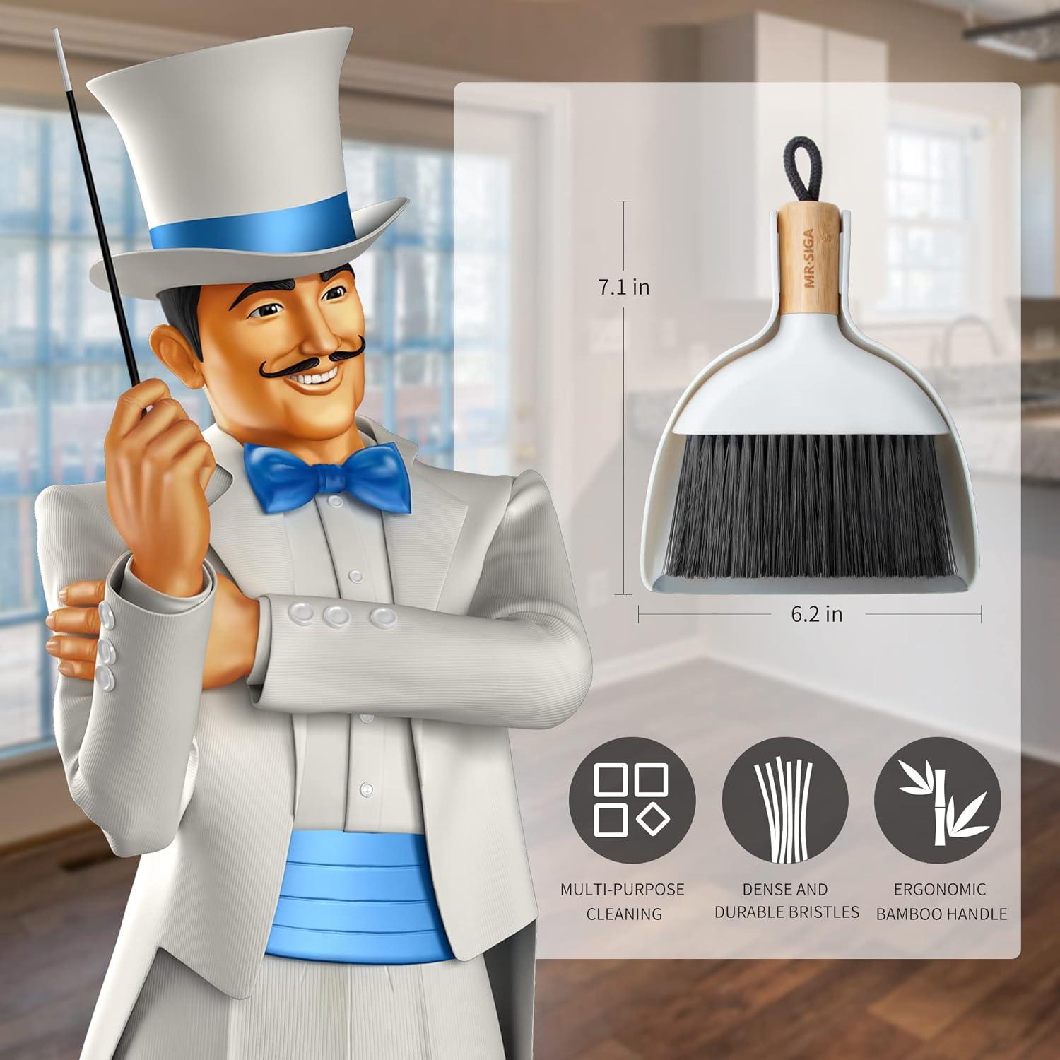 MR.SIGA Mini Kehrschaufel und Bürste Set