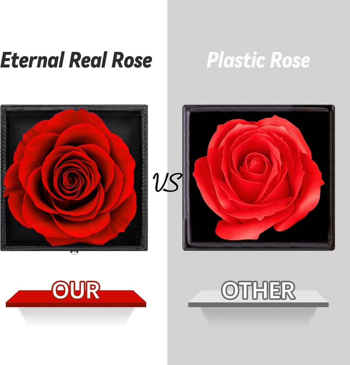 Rote Ewige Rose mit I Love You Halskette und Geschenkbox