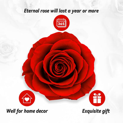 Ewige echte Rose I Love You Halskette Konservierte Blumen Geschenkbox Frau Rot