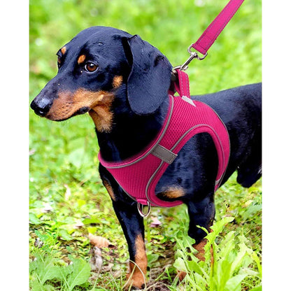 Hundegeschirr Air-Mesh atmungsaktiv reflektierend leuchtend rosa M