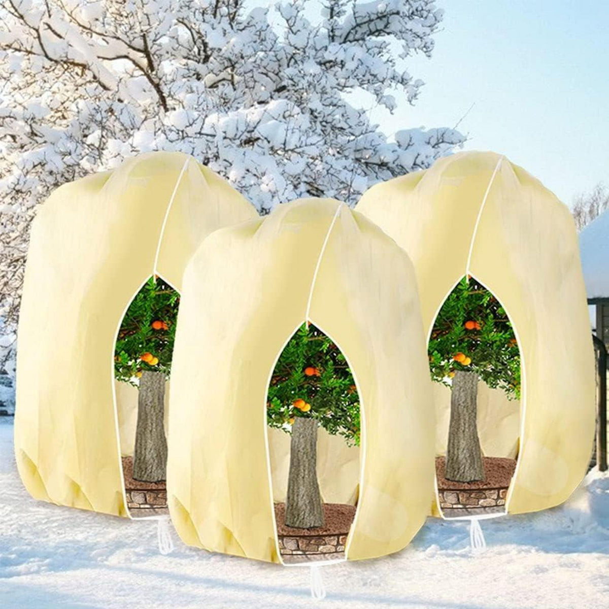 Winterschutz Pflanzenabdeckung 250x360cm - 3er Set