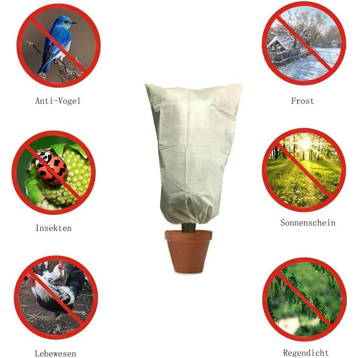 Winterschutz Pflanzenabdeckung 250x360cm - 3er Set