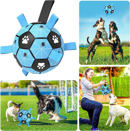 Hundespielzeug Ball 20cm Interaktives Hundefußball mit Seil