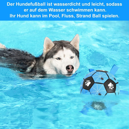 Interaktiver Hundeball 20cm für kleine, mittlere und große Hunde Blau