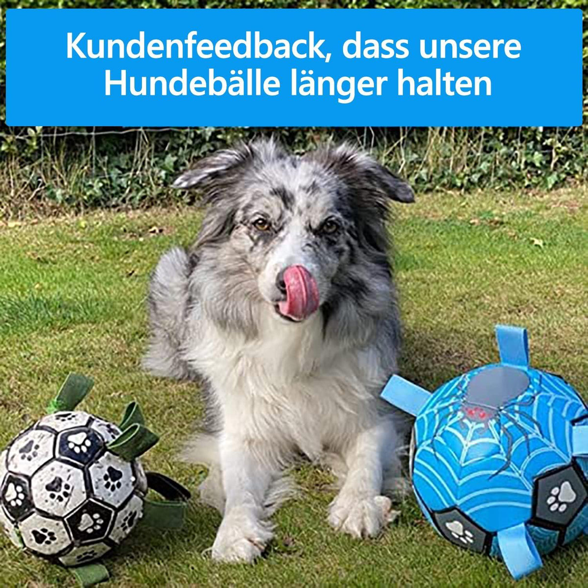 Hundespielzeug Ball 20cm Dauerhaft für kleine mittlere große Hunde