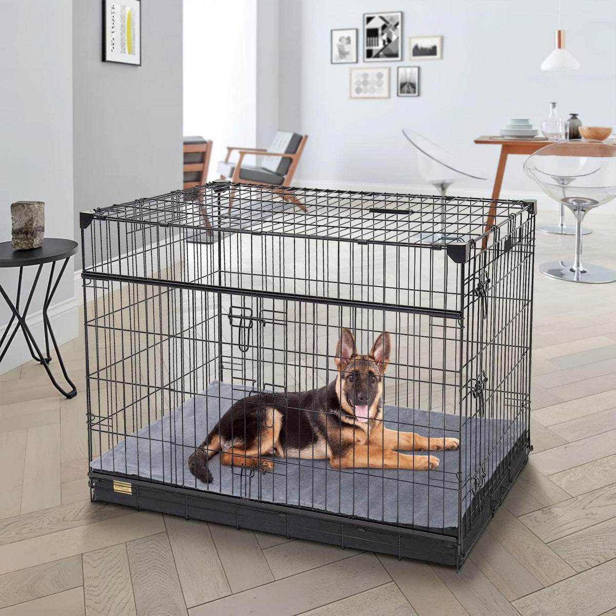 Orthopädisches Hundebett Groß – Waschbar & Rutschfest