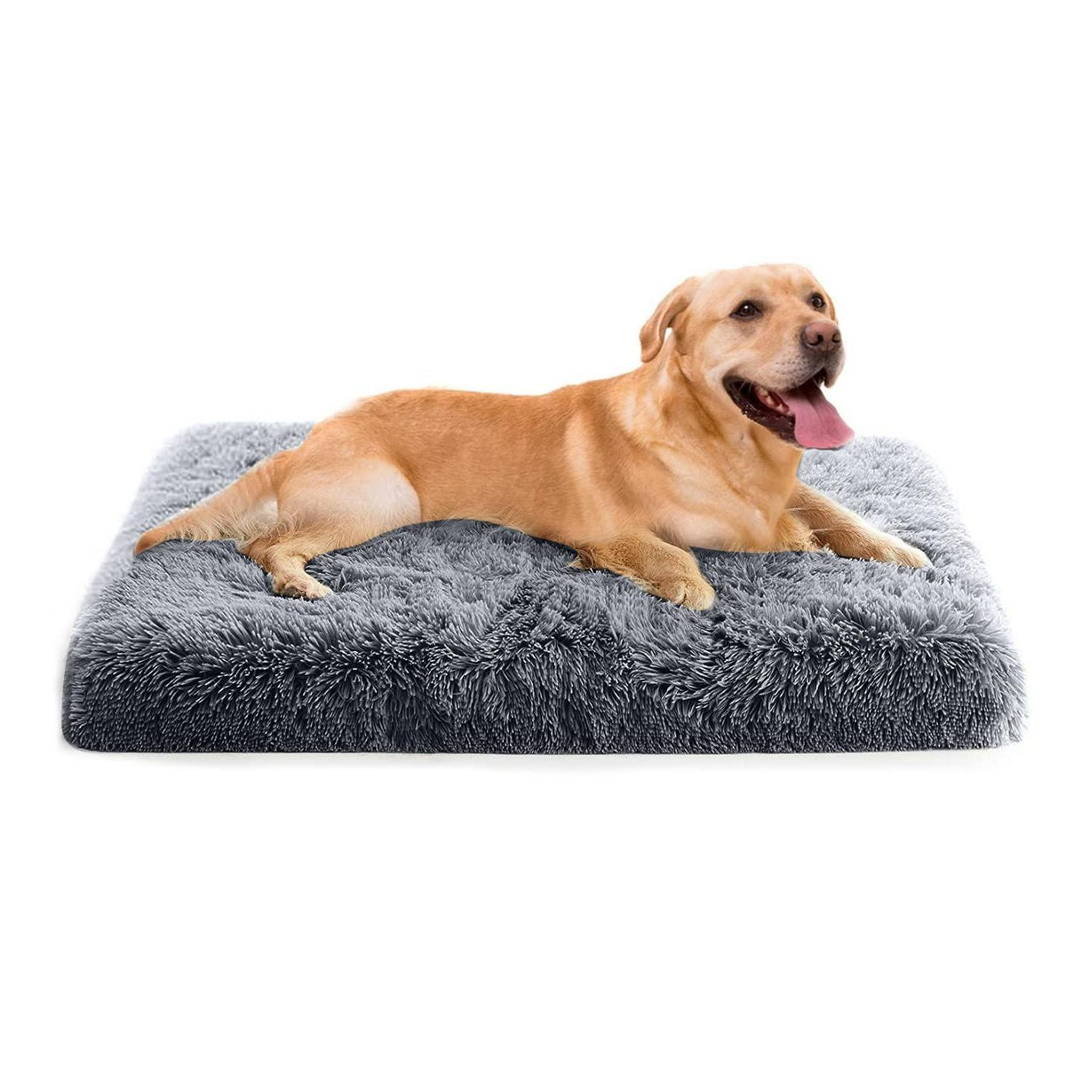 Orthopädisches Hundebett mit Memory Foam & rutschfester Unterseite 2XL Dunkelgrau
