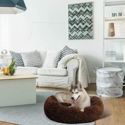 Orthopädisches Hundebett XXL – Waschbar & Kuschelig