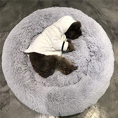 Orthopädisches Hundebett XXL – Waschbar & Kuschelig