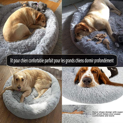 Orthopädisches Hundebett XXL – Waschbar & Kuschelig