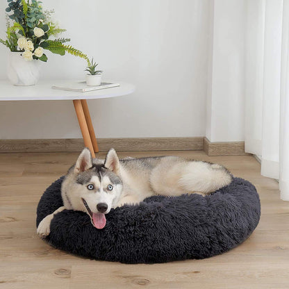 Orthopädisches Hundebett XXL – Waschbar & Kuschelig