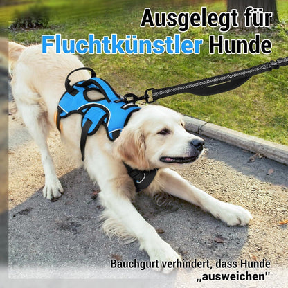 Ausbruchsicheres Hundegeschirr mit Griff, Blau M