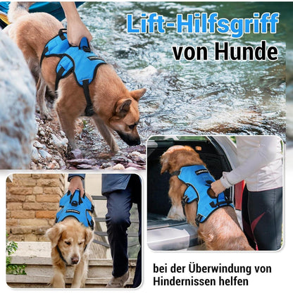 Ausbruchsicheres Hundegeschirr mit Griff, Blau M