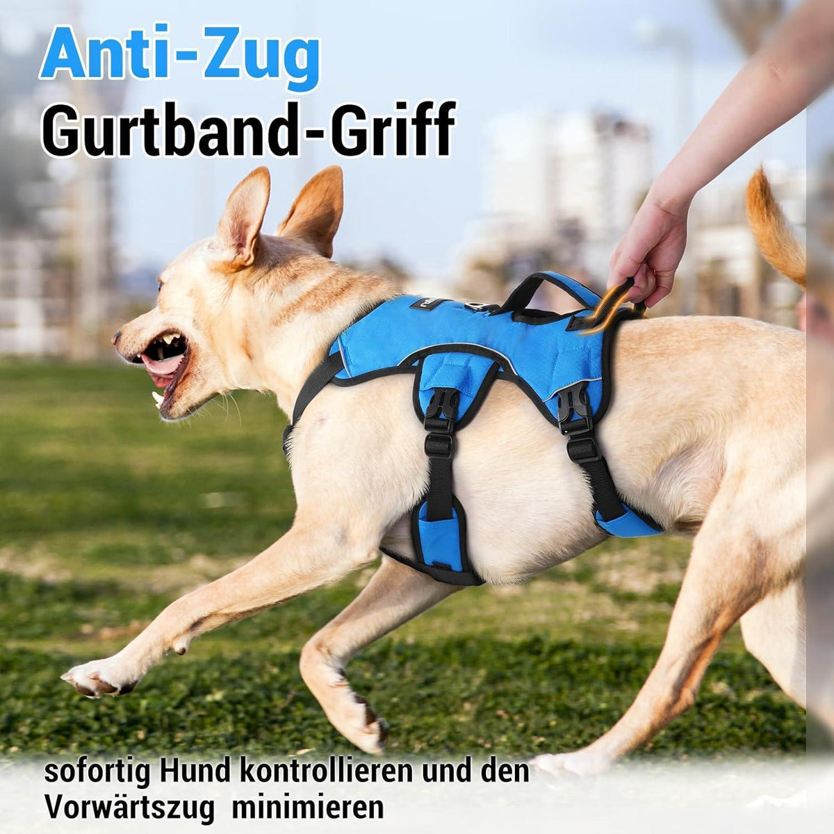 Ausbruchsicheres Hundegeschirr mit Griff, Blau M