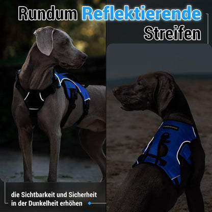 Ausbruchsicheres Hundegeschirr mit Griff, Blau M