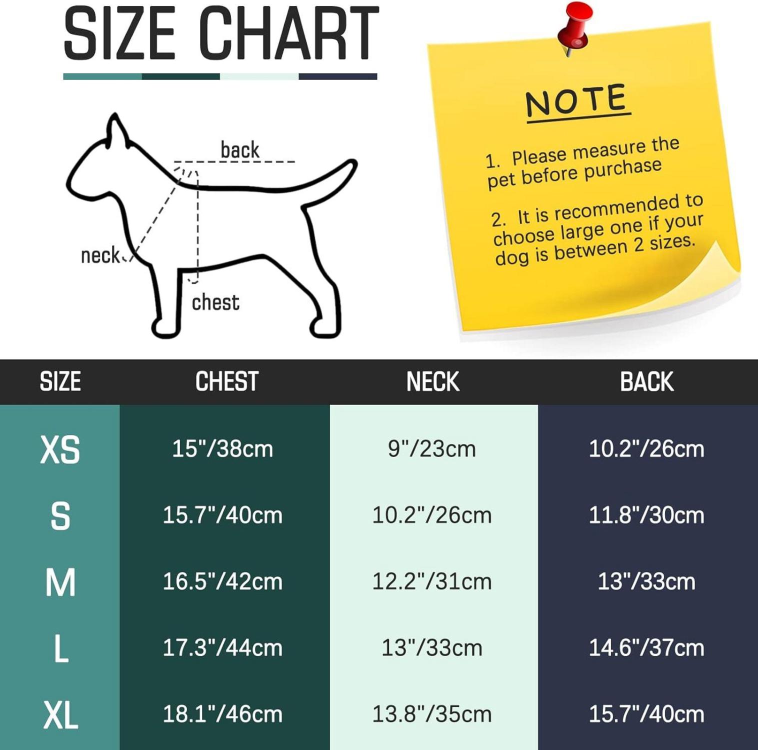 Hundebody Nach Op und Kastration für Hunde Grün L