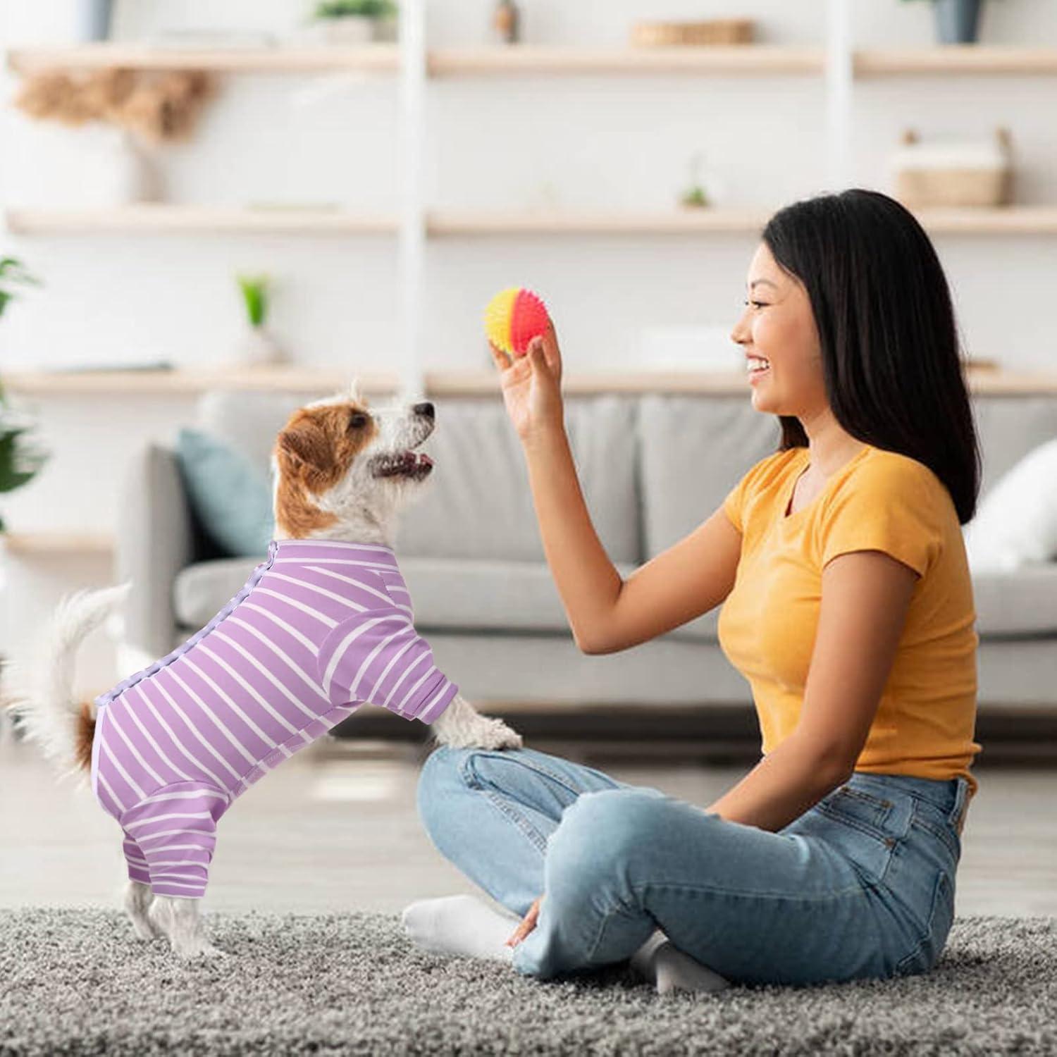 Kuoser Hundebody nach Op Kastration Hundepyjama Lila XL