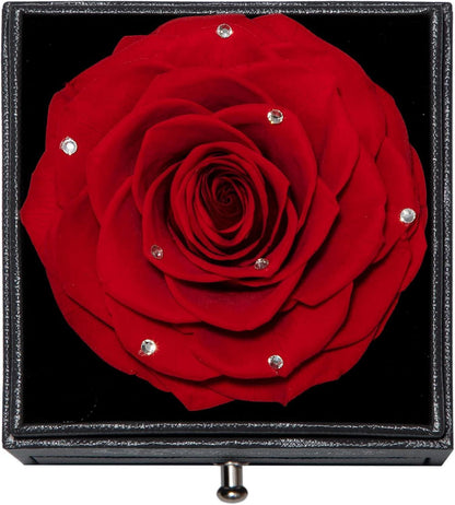 Ewige Rote Rose Konservierte Blumen Halskette Set für Frauen
