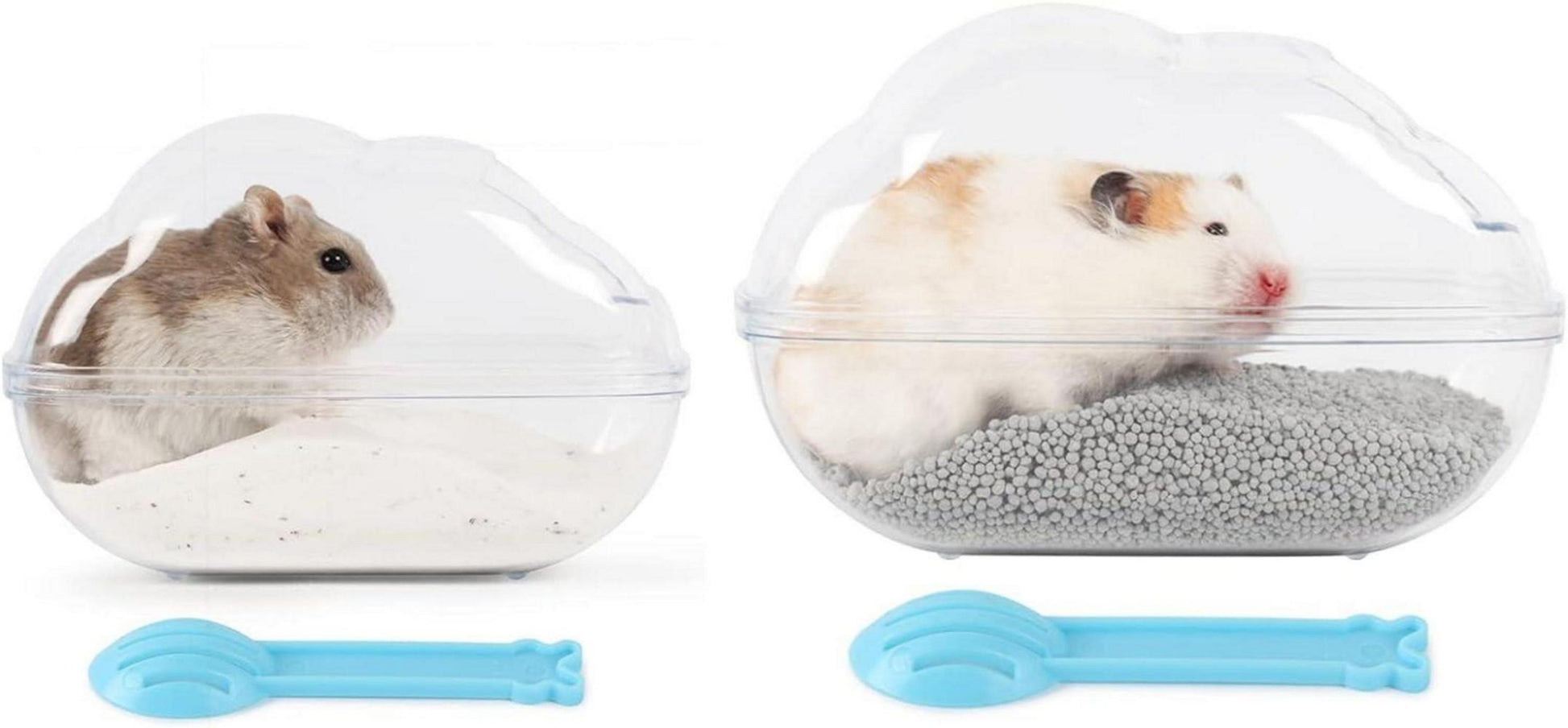 Hamster Sandbad Badezimmer Sandkasten Transparentes Design
