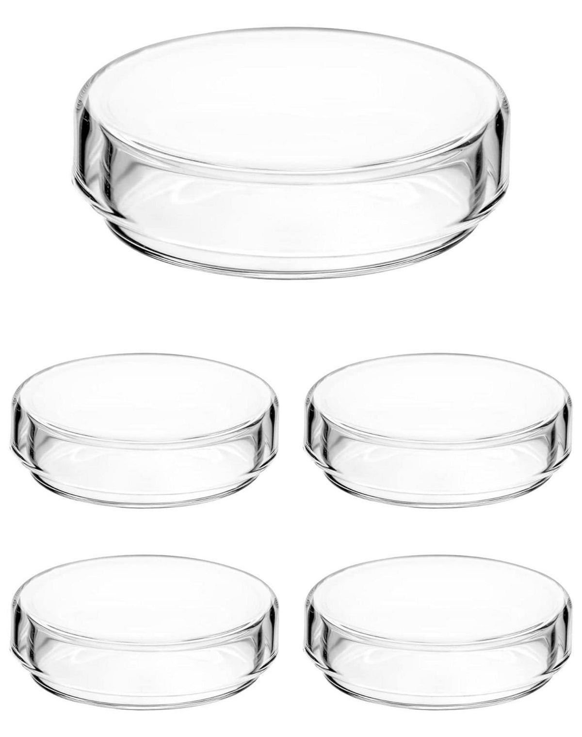 5er Set QWORK Glas Petrischalen mit Deckel 60mm x 18mm