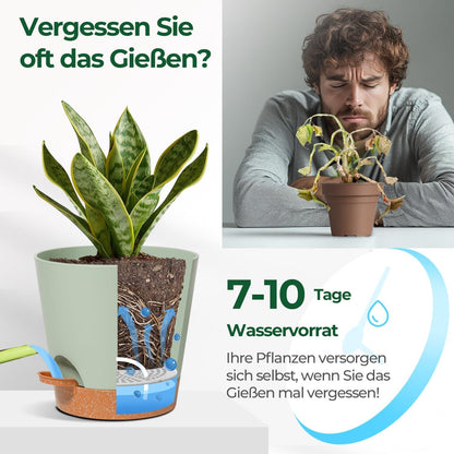 T4U 14cm Blumentopf mit Selbstbewässerung, 3er-Set für Sukkulenten, Kakteen, Grün