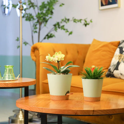 Blumentopf mit Selbstbewässerung 14cm 3er-Set Sukkulenten Kakteen Grün