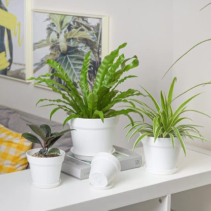 T4U 12,5cm Kunststoff Blumentopf 6er-Set mit Untersetzer