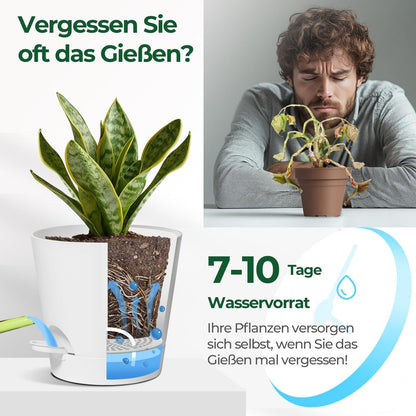T4U 14cm Selbstbewässerung Blumentopf 6er-Set Weiß für Sukkulenten Kaktus