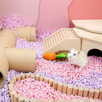 Holz Karotten Kauspielzeug für Kleintiere 6er Set - Hamster, Rennmäuse, Mäuse