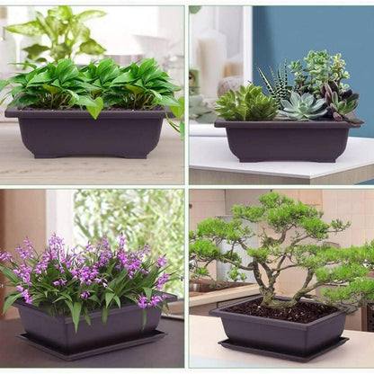 Bonsai Schale mit Untersetzer 6 Rechteckige Trainingstöpfe 3