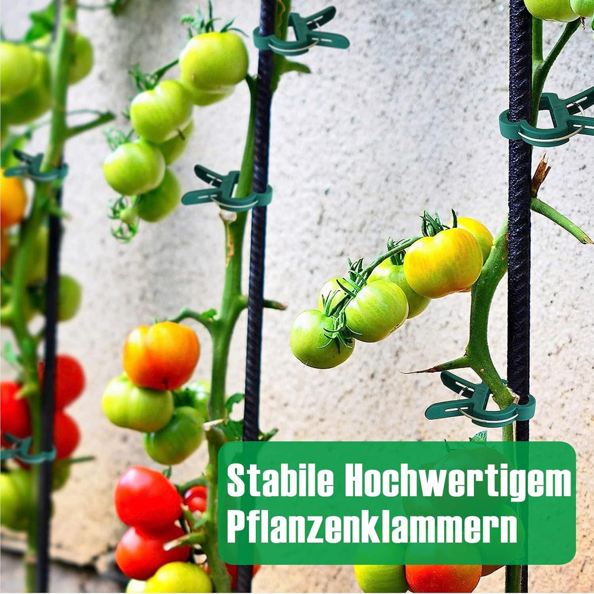 Pflanzenclips für Tomaten Gurken Kletterrosen 96 Stück Ranking Klammer