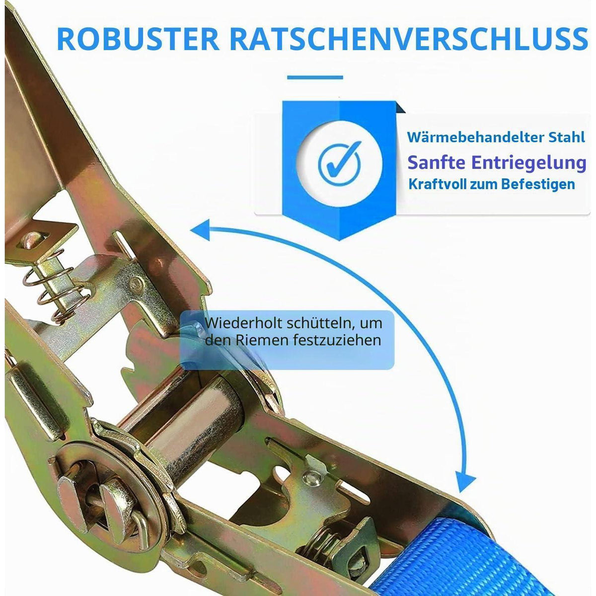 10 Spanngurte 800kg mit Ratsche – Blau, 6m x 25mm