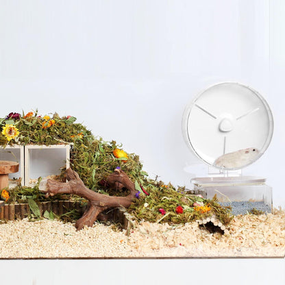 Laufrad Hamster Spielzeug 21cm Leise mit Verstellbarem Ständer