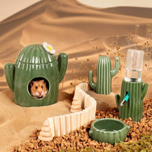 Keramikhaus für Hamster in Kaktusform mit Kaubarem Versteck