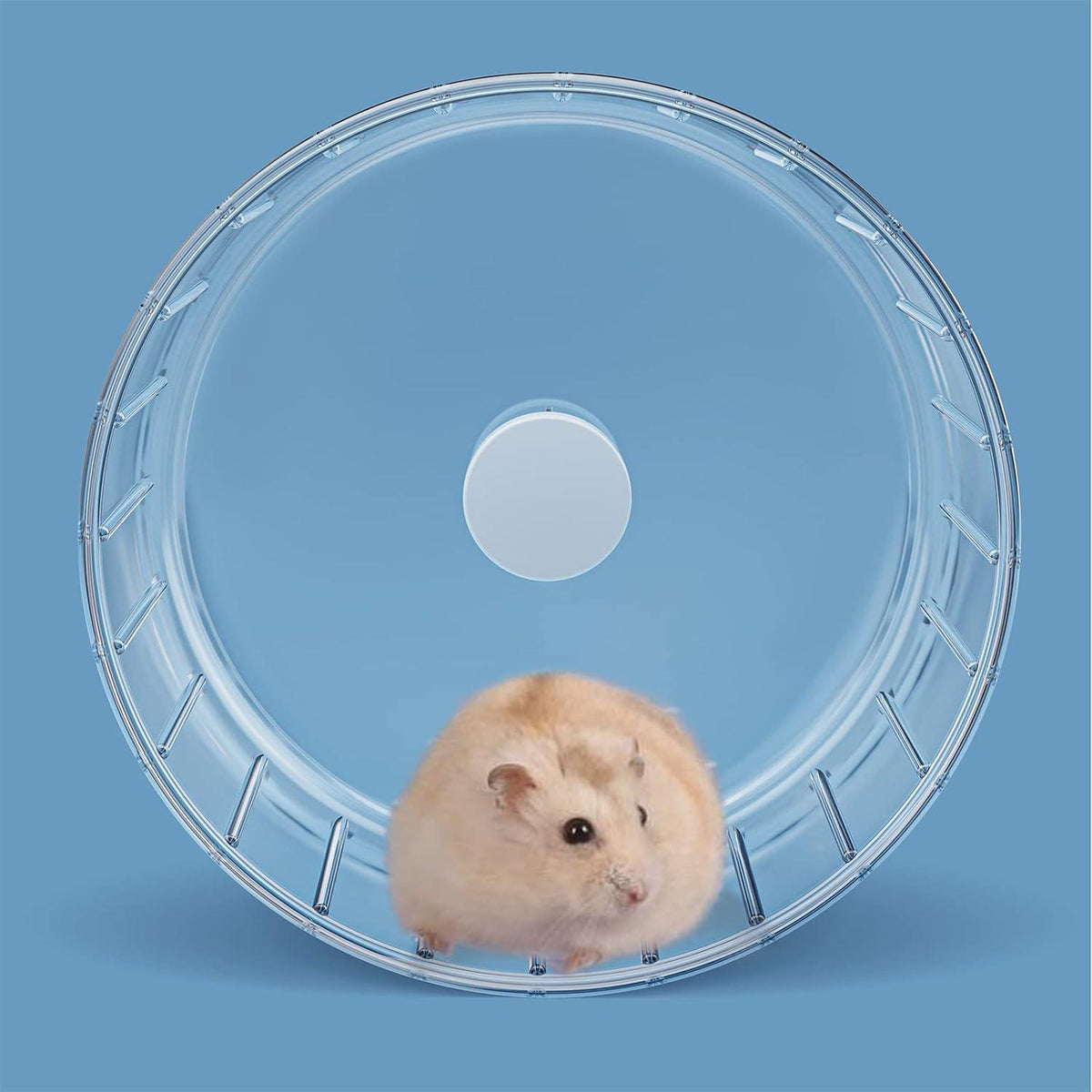 15cm Laufrad Hamster Leise Transparent für Kleintier Haustier