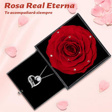 Ewige Rose Geschenk Mama Halskette 925 Silber Mejor Madre
