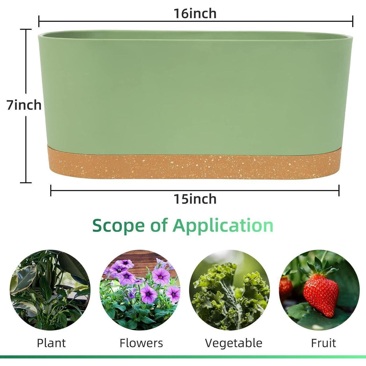 Fensterboxen 2er Set, 40cm, Selbstbewässernd, Grün