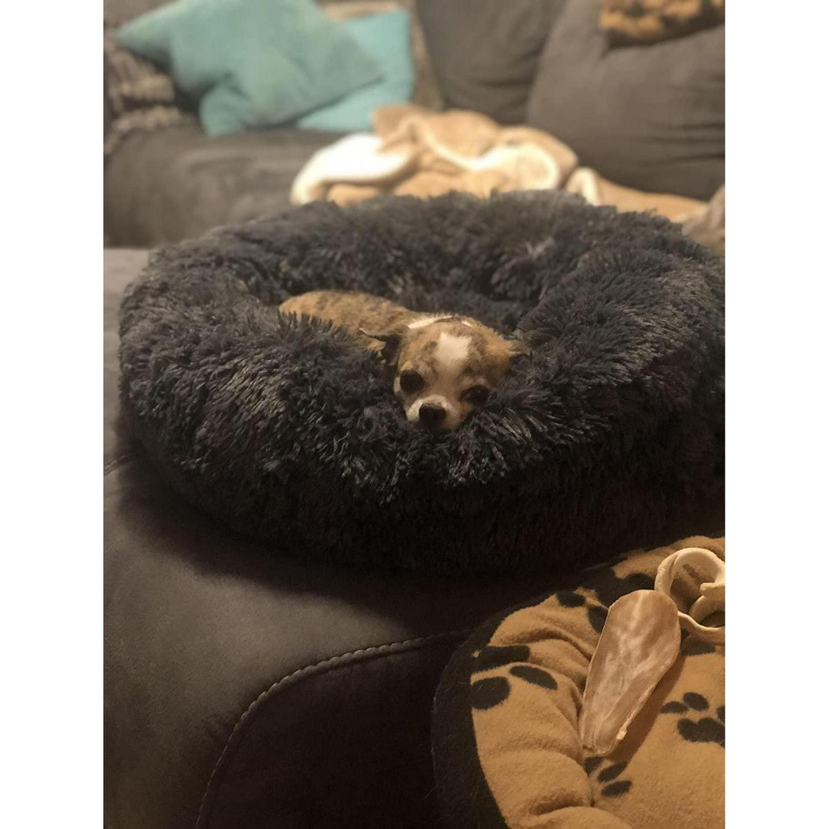 Flauschiges Hundebett für Große Hunde – Orthopädisch & Waschbar