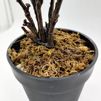 1 Stück Künstliche Zitronenpflanze mit Topf 30 cm hoch grüne