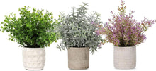 3er Set Künstliche Eukalyptus Kunstpflanzen Grün für Deko
