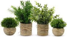 Künstliche Eukalyptus Pflanzen 4 Stück Deko Set