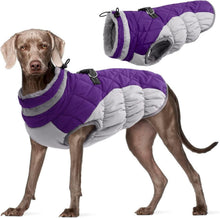 Wasserdichter Hundemantel Winterjacke Fleece gefüttert Reflektierend