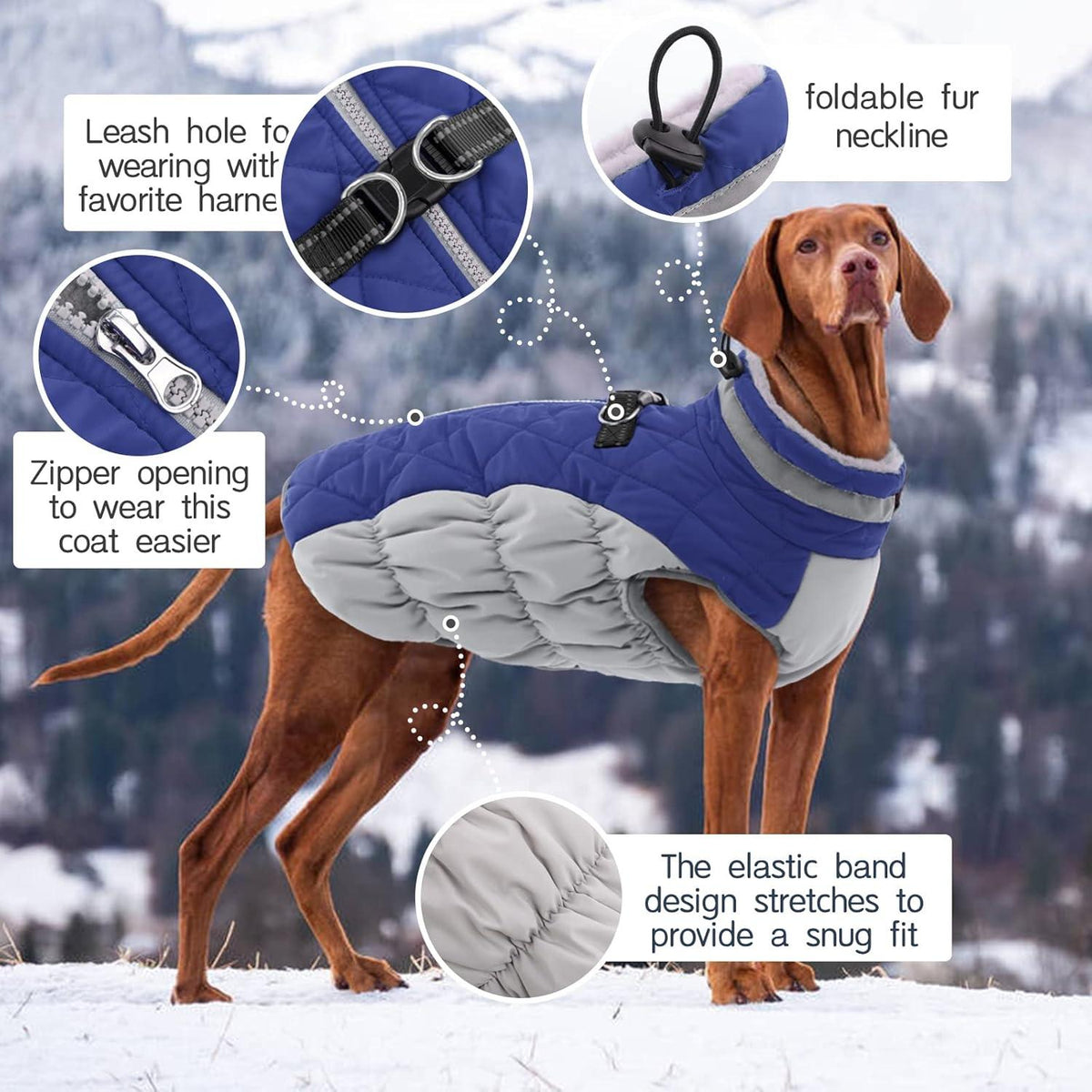 Wasserdichter Hundemantel Winterjacke für Hunde in Blau
