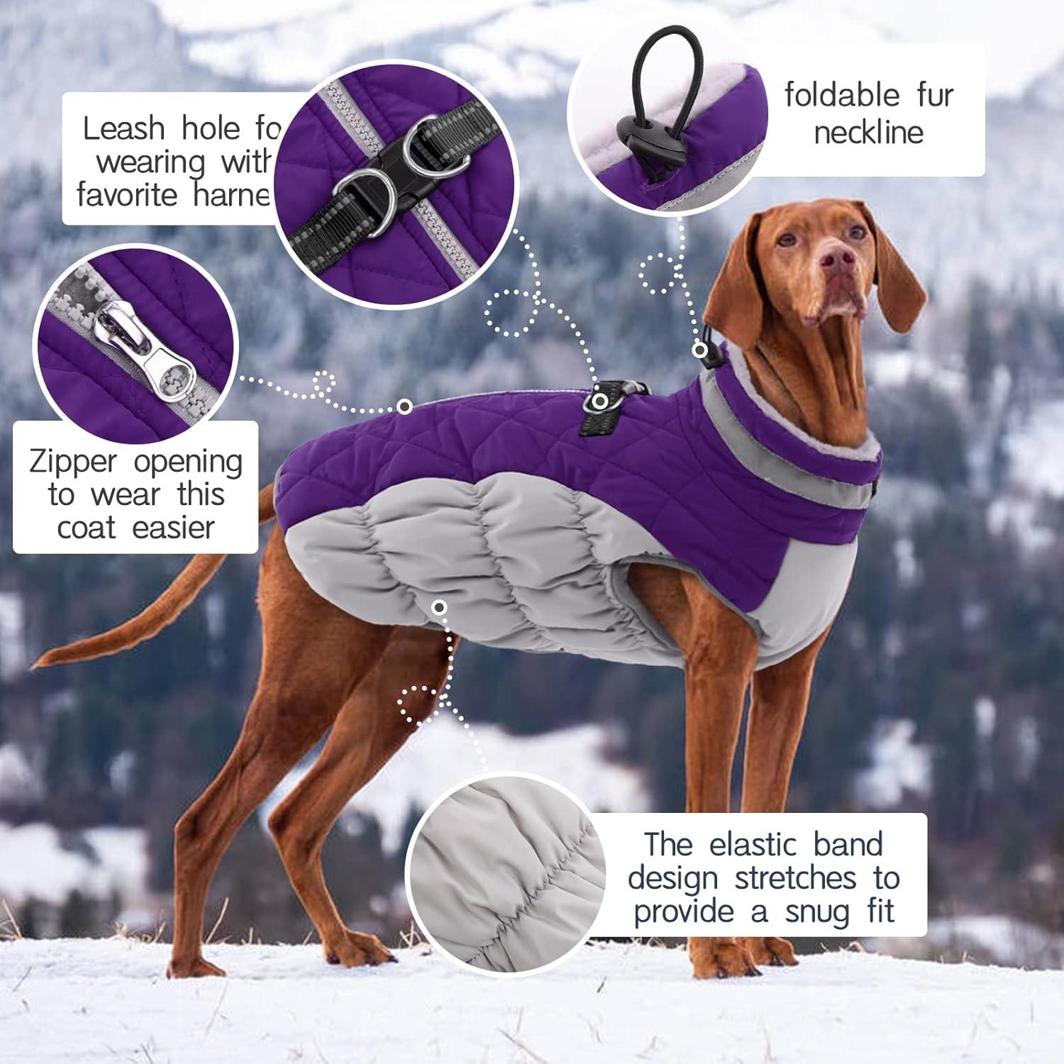 Wasserdichter Hundemantel Winterjacke für Kleine Hunde XXL Lila
