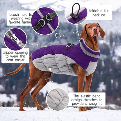 Wasserdichter Hundemantel Winterjacke für Kleine Hunde XXL Lila