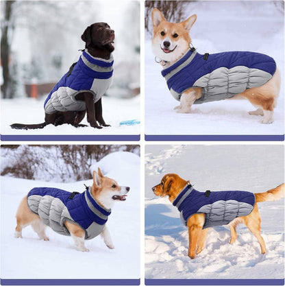 Wasserdichter Hundemantel Winterjacke für Hunde Blau XS-XXXL